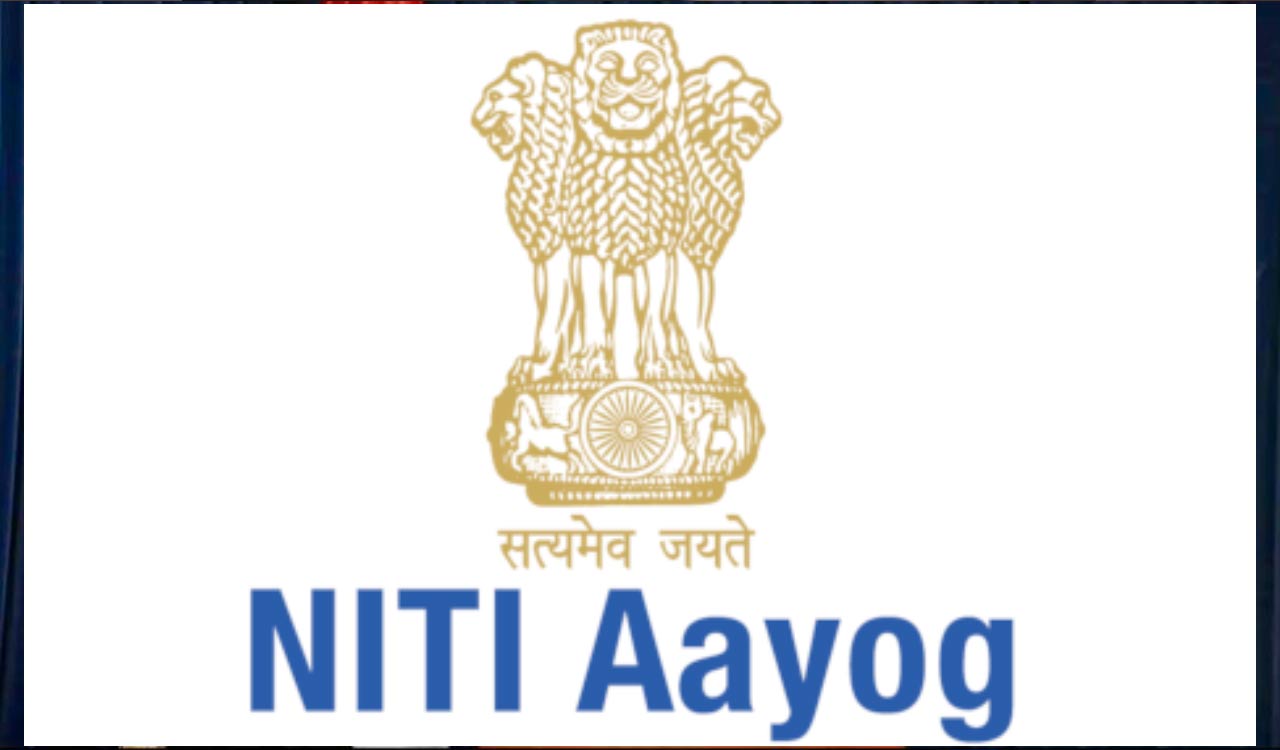 India can become global leader in affordable caregiving: NITI Aayog