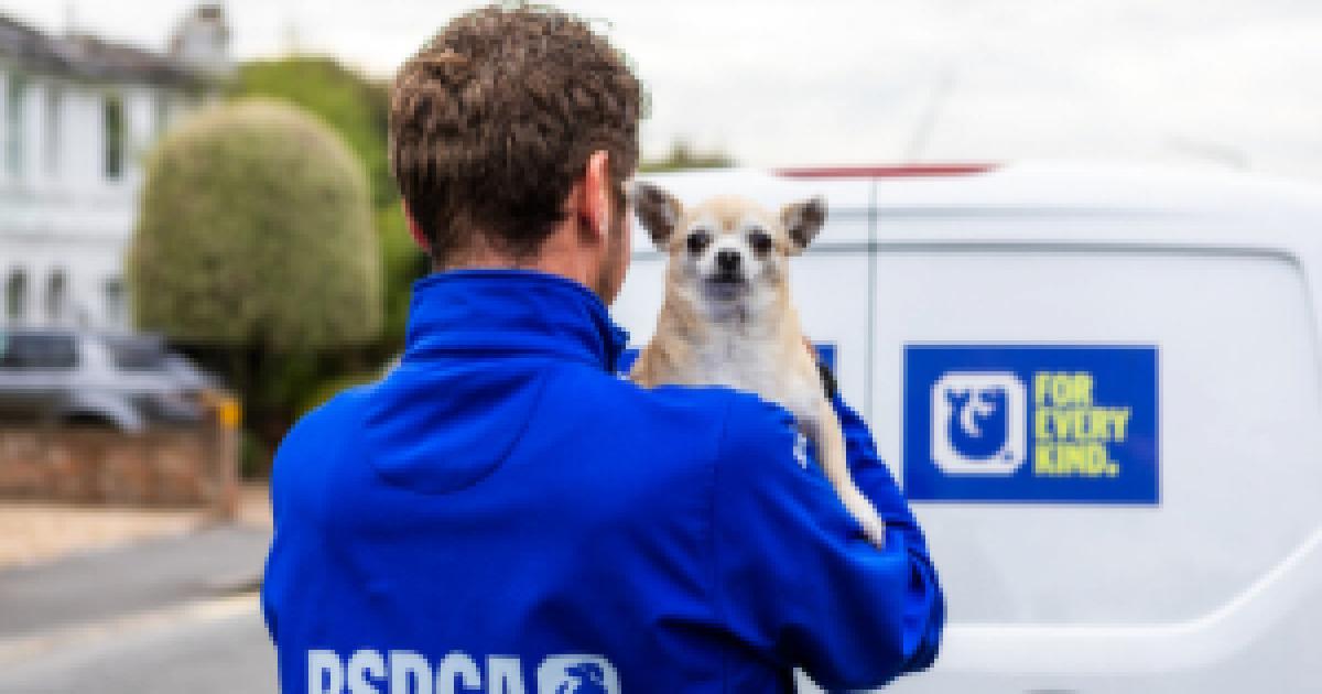 RSPCA recruiting animal rescue officers in Cambridgeshire