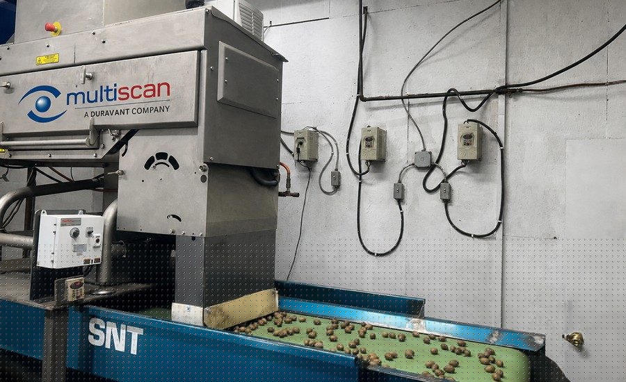 WECO Debuts Multiscan MXV-Bulk X-Ray for In-Shell Nut Applications