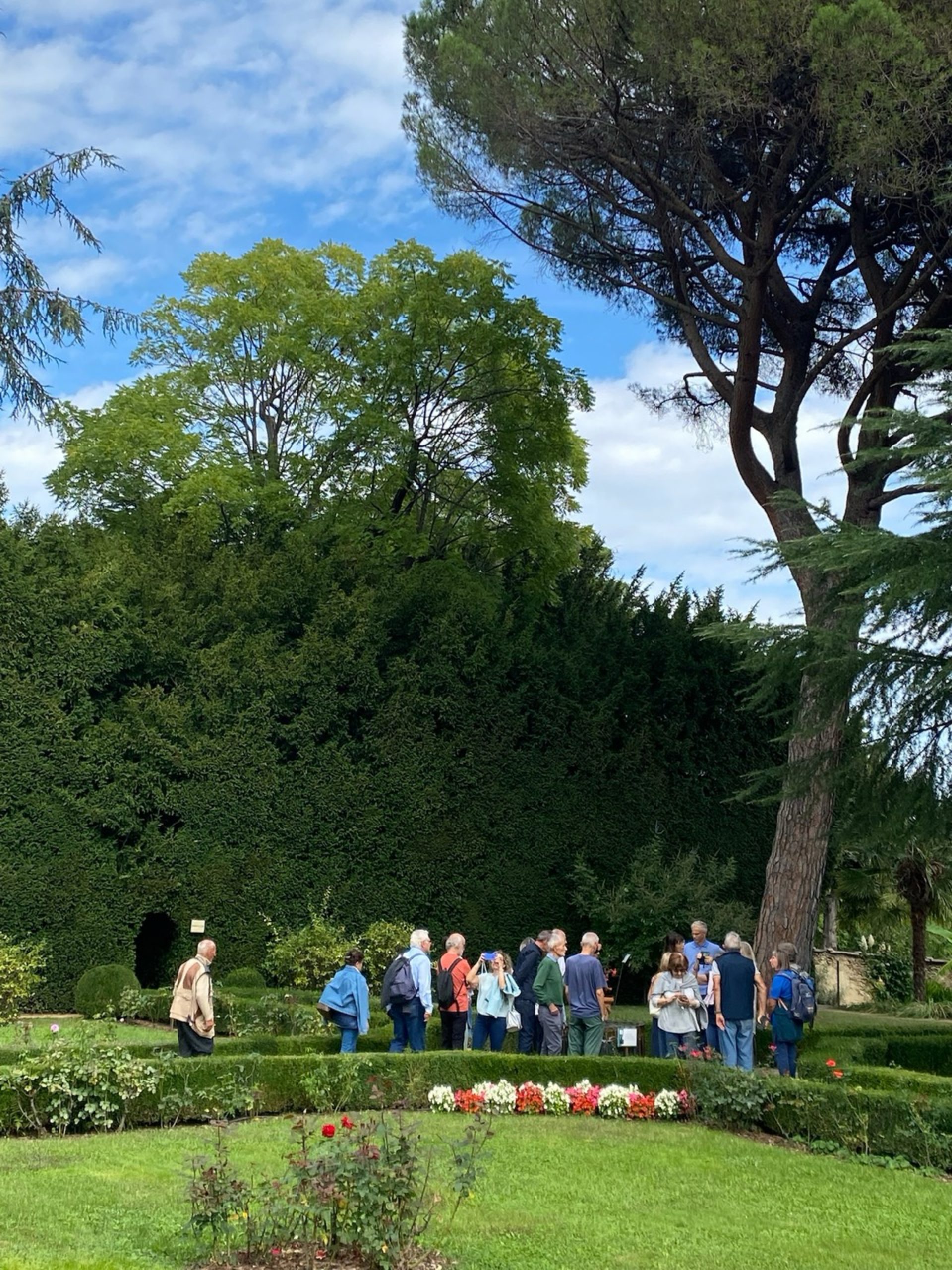 “Bellezza tra le righe”: c’è poesia negli alberi!