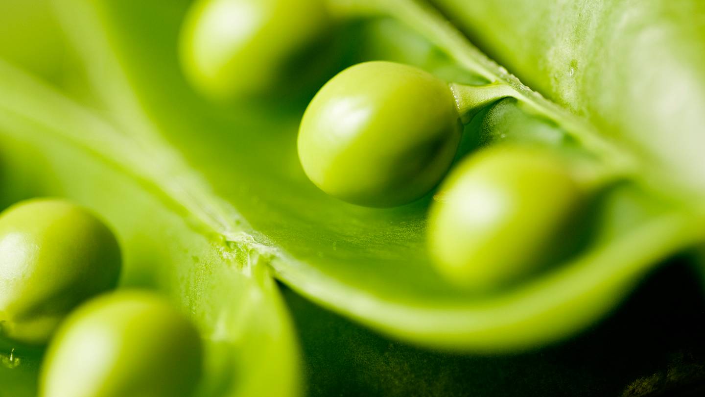 Why Do We Say "Two Peas in a Pod"?