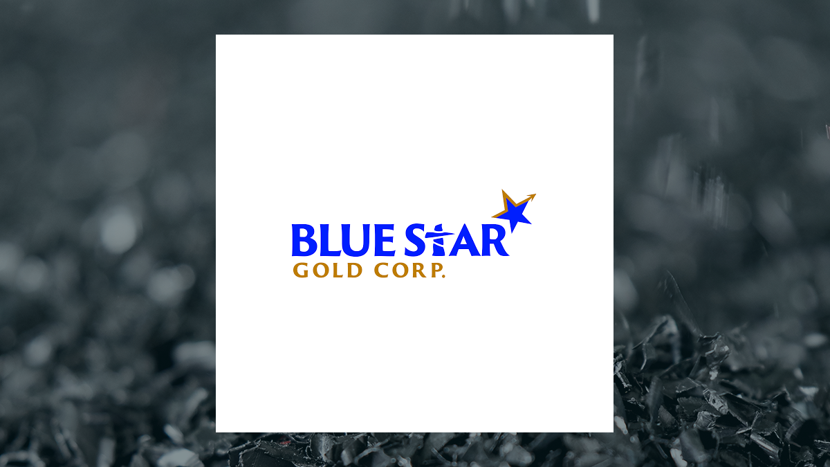 Blue Star Gold (CVE:BAU) Shares Up 2.5%  – What’s Next?