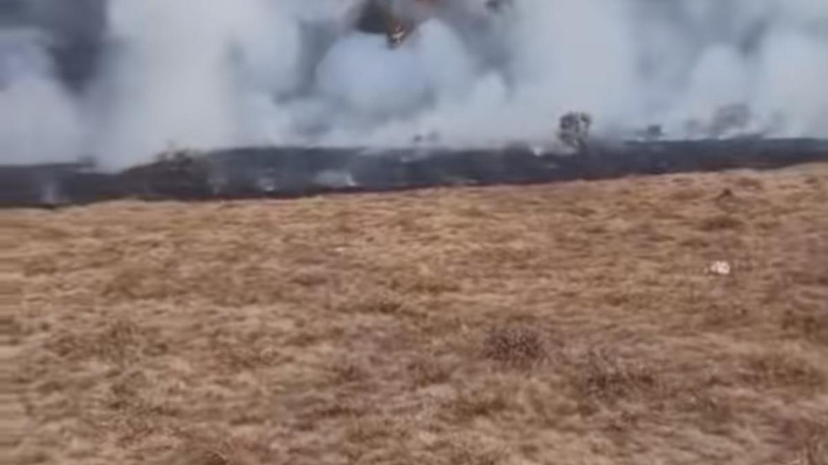 Usai Kebakaran di Suryakancana, Jalur Pendakian Gunung Gede Ditutup
