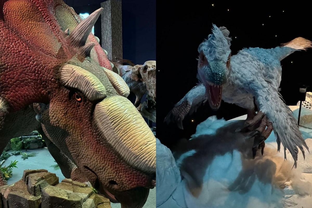 Ice Dinosaurs Brings a Frozen Prehistoric World to Sloan Museum