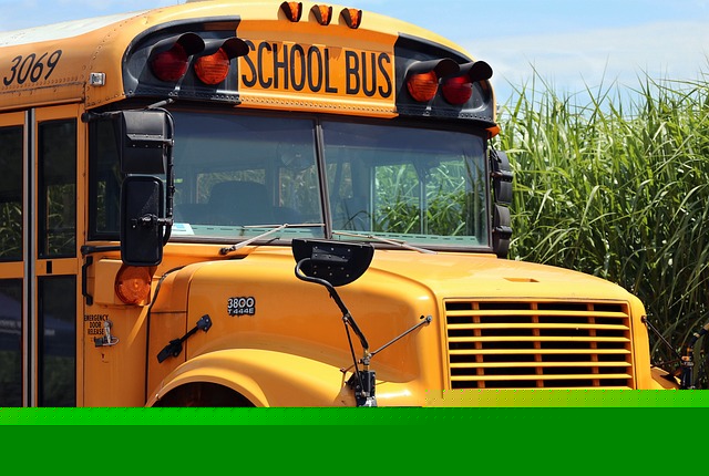 Comment on More than 6,000 stop-arm citations issued in last school year by Josh Jochem Porte