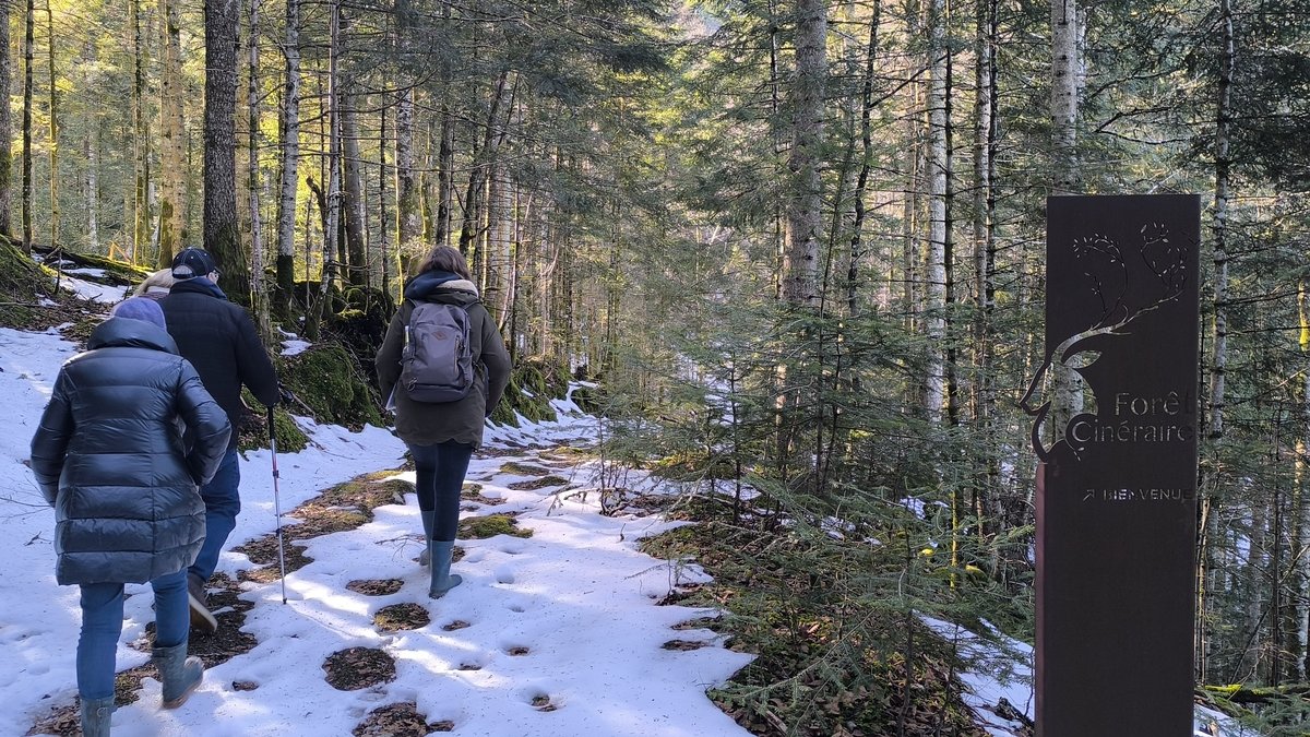 "Je serai en paix dans la nature" : la forêt cinéraire d’Arbas, une alternative aux cimetières traditionnels