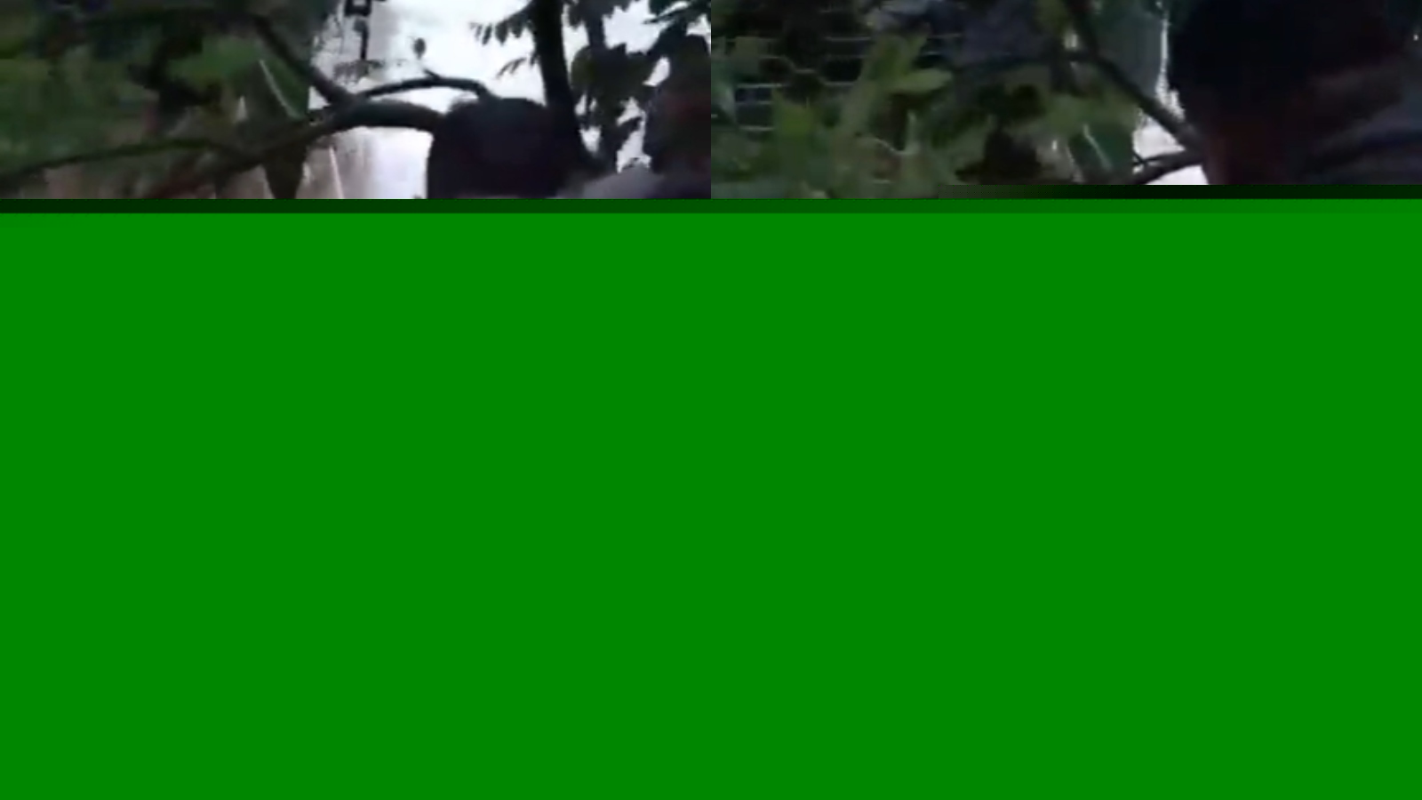 Army rescues couple from neck-deep floodwaters in Assam, video goes viral: WATCH