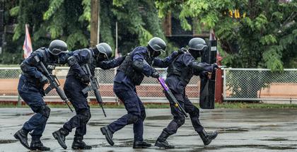 Comment on The Return of Drug War Imperialism by Imperialismul războiului de droguri - Statul Paralel - Dăm pe față minciunile