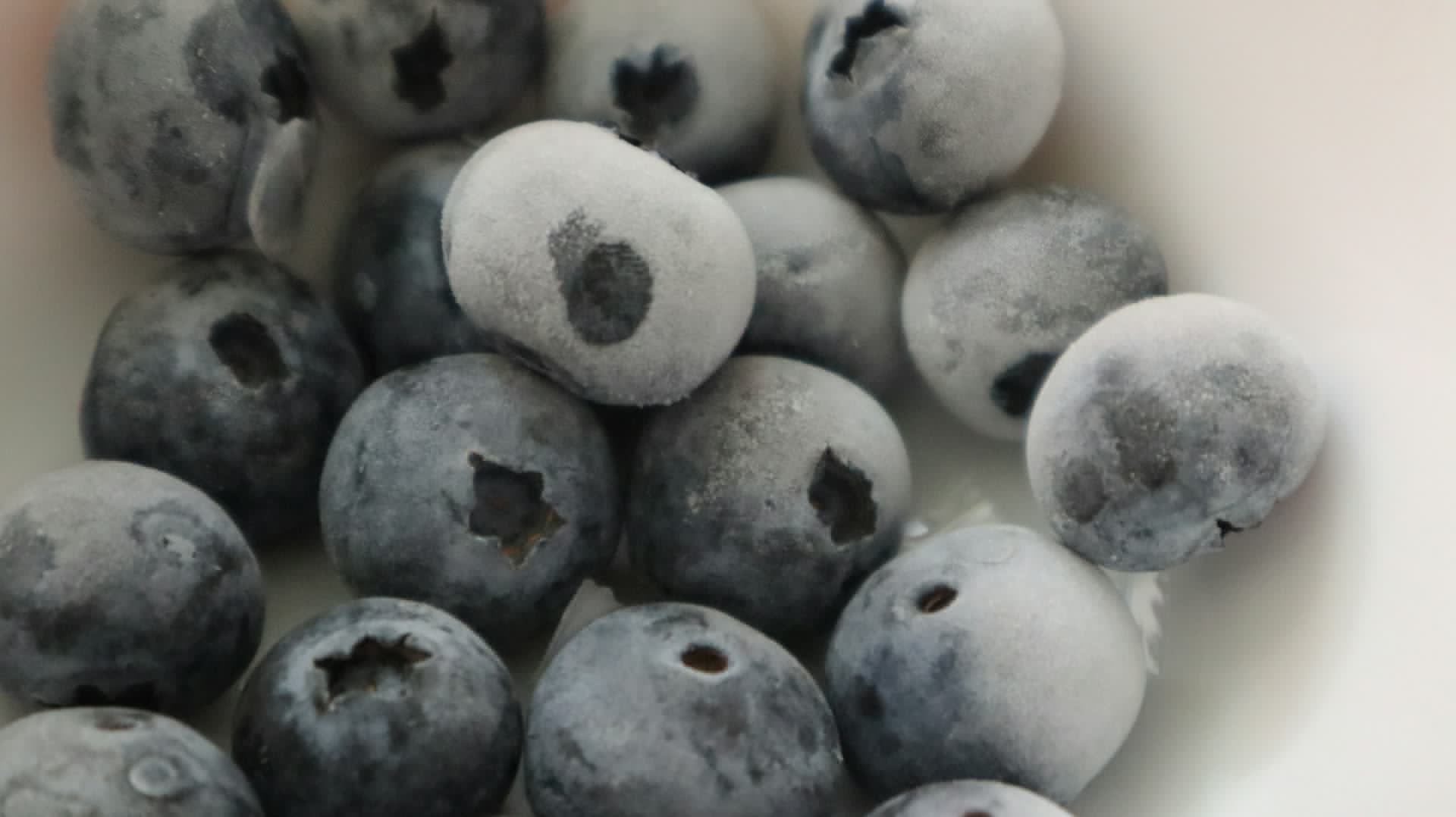 Publix broadens blueberry recall as E.coli investigation continues