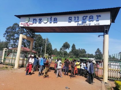 5,000 sugar workers strike over Ksh.10.8 billion unpaid dues