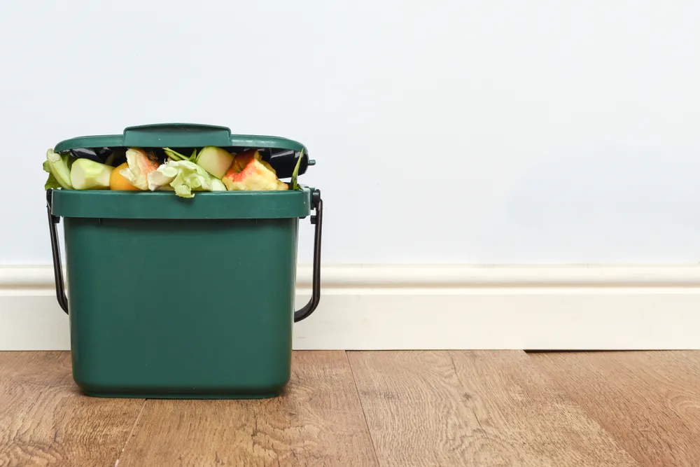 Talking rubbish: Exciting times for bin nerds