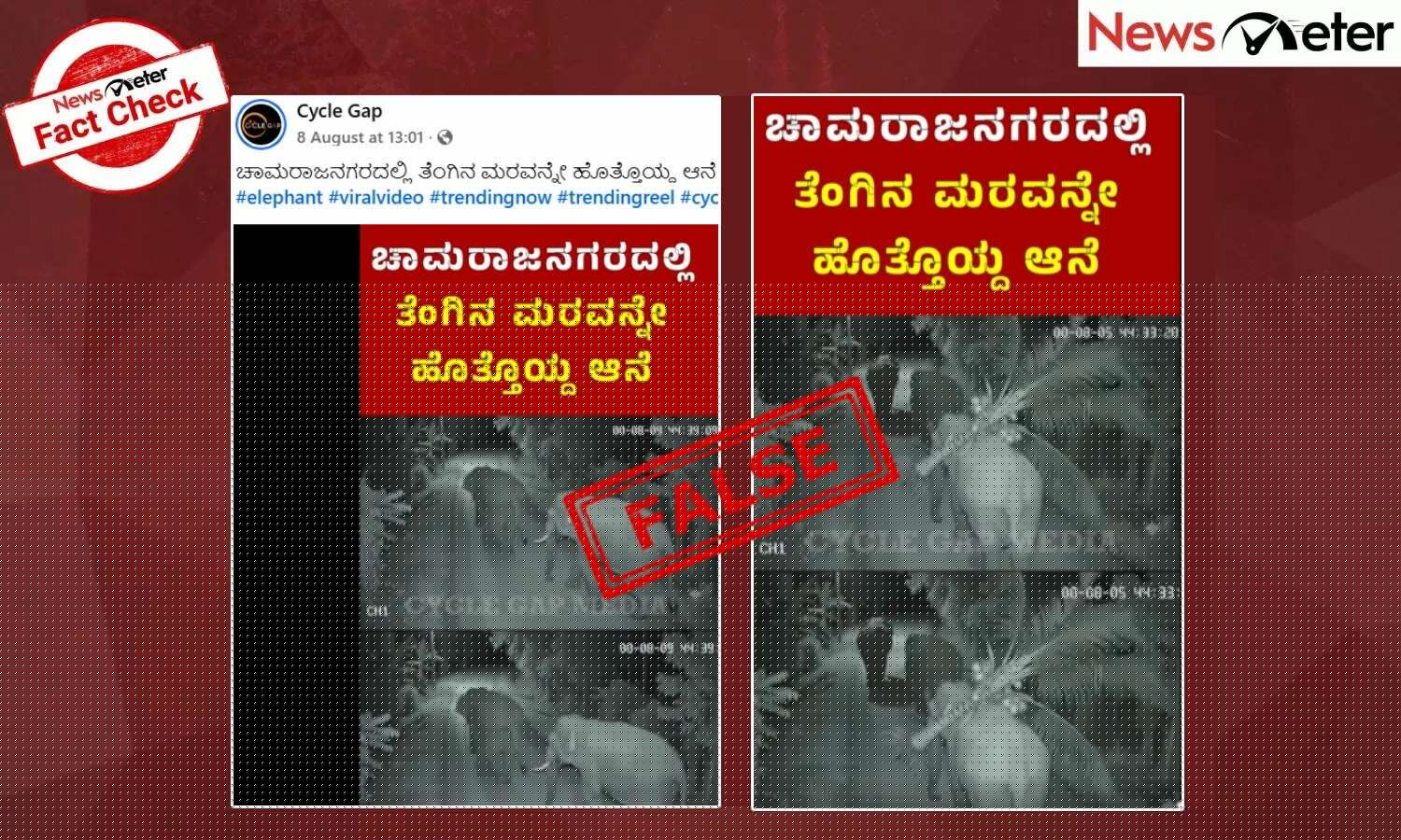 Fact Check: ಚಾಮರಾಜನಗರದಲ್ಲಿ ಆನೆ ತೆಂಗಿನ ಮರಗಳನ್ನು ಬುಡಸಮೇತ ಕಿತ್ತುಕೊಂಡು ಹೋಗಿವೆಯೇ?