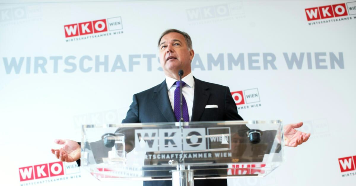 Wiener Wirtschaftskammerchef Walter Ruck zurückgetreten