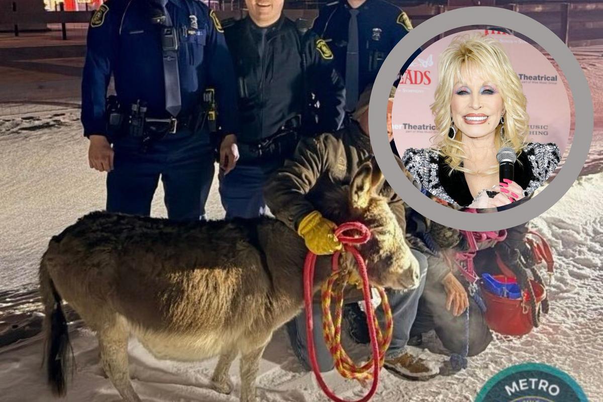 Michigan State Police Rescue Donkey Named Dolly Parton