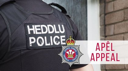 Police appeal after dog attack on Ceredigion beach