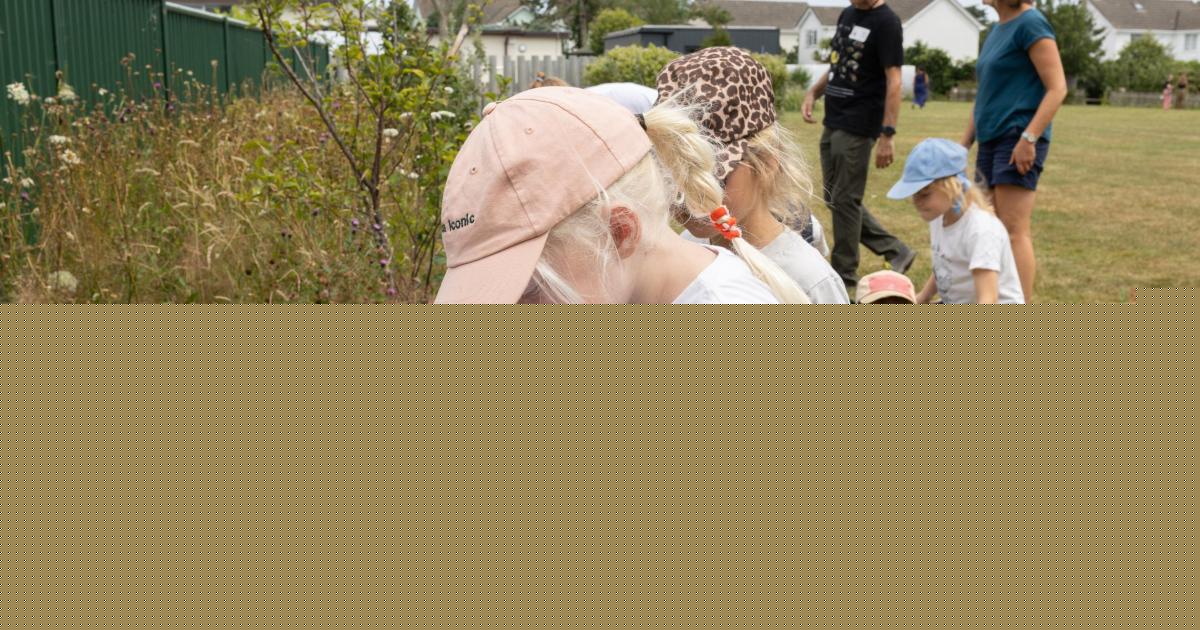 Cornwall pupils enjoy school's first ever Ecology Day