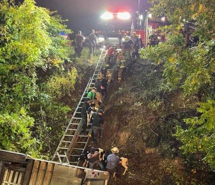 Dozens of calves rescued from overturned trailer after truck crash in central Pennsylvania