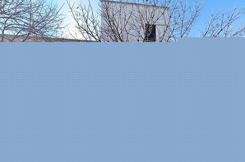 Comment on Dallas Will Auction Downtown Property Overrun by Squatters at 711 S. St. Paul by Carol Hall