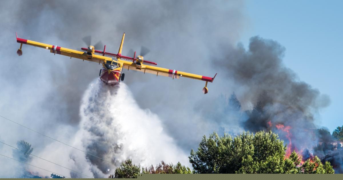Foreign Office issues advice for 5 European countries amid increased wildfire risk