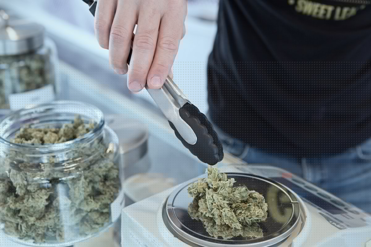 Cannabis at Farmers Markets? New York Just Changed the Rules