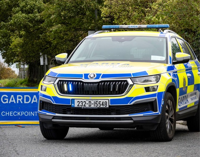 Witnesses sought following death of man in road incident in County Laois
