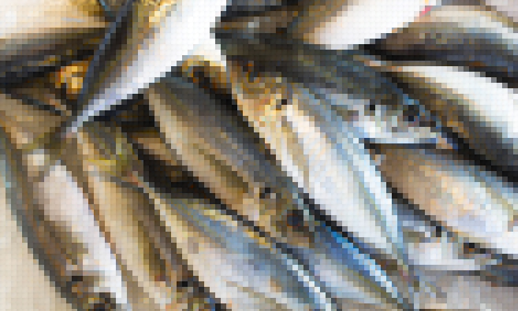 Shallow Waters, Deep Risks:The Fishing Limit Dilemma