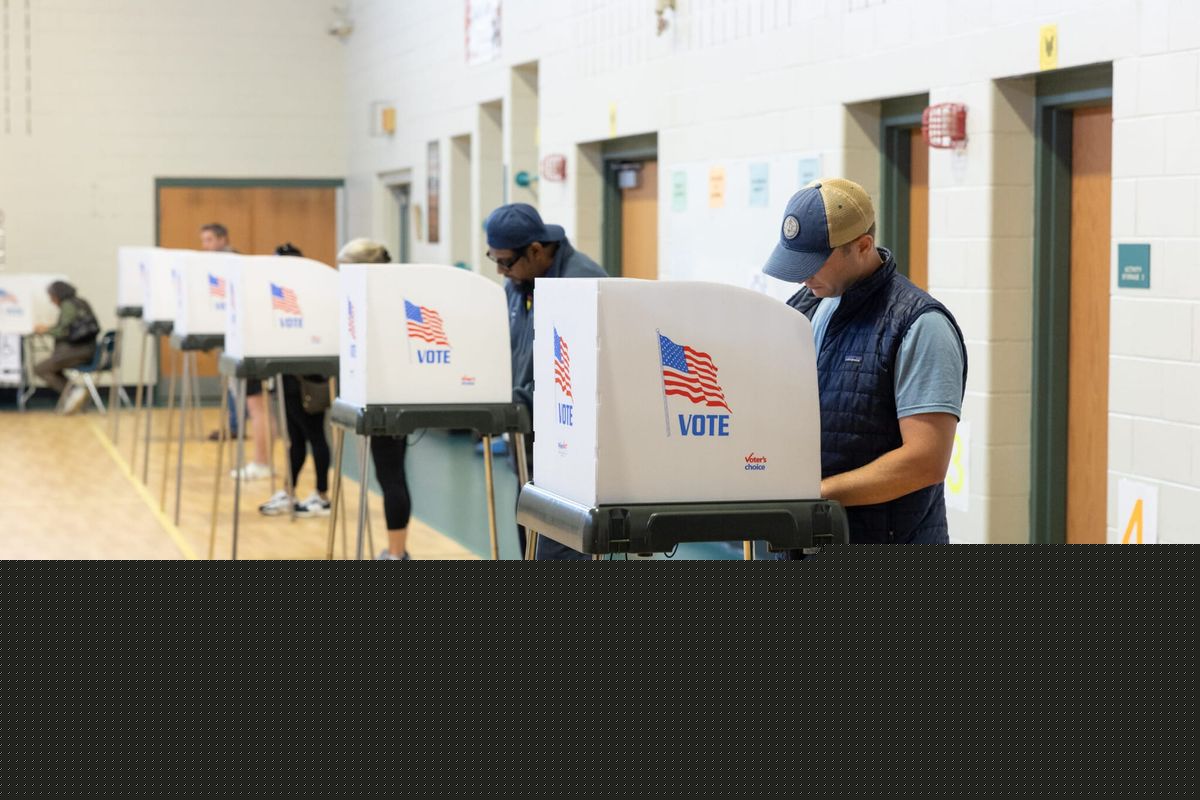 Virginia votes Tuesday: Everything you need to know about the 2026 primary elections