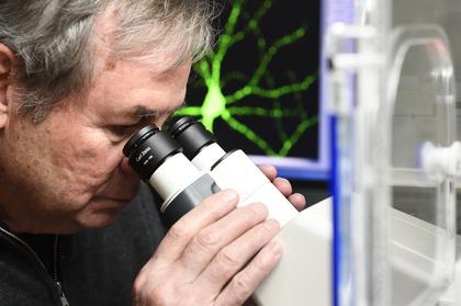 Johns Hopkins brain scientists converge in cross-university neuroscience department