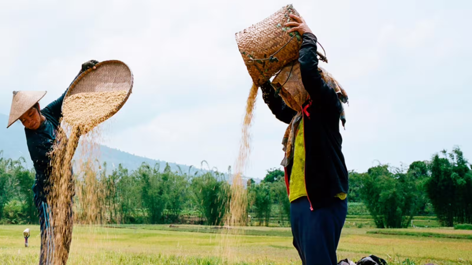 Financing mechanisms for land-based action