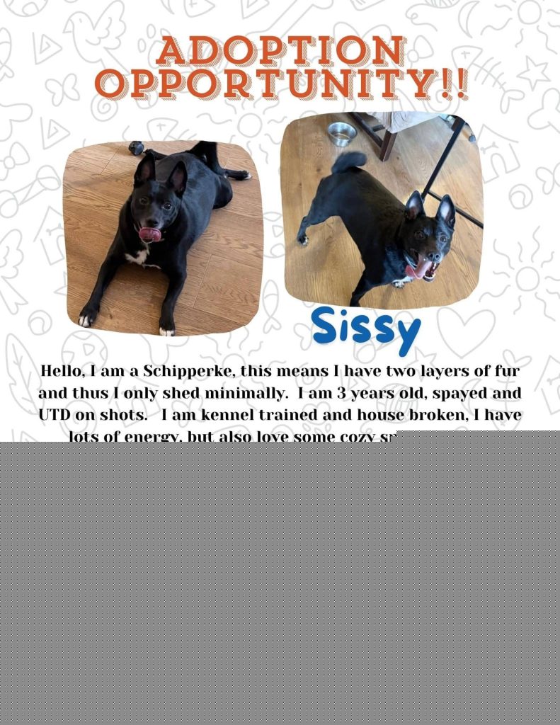 Pet rescue