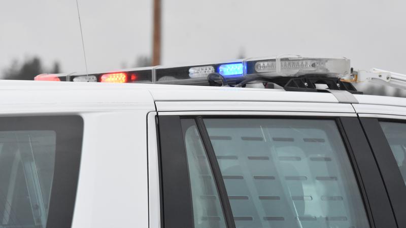 Pedestrian killed in collision east of Nipawin