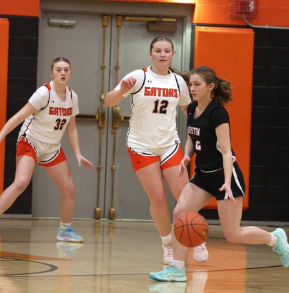 HS Roundup: Port Allegany girls roll over Austin