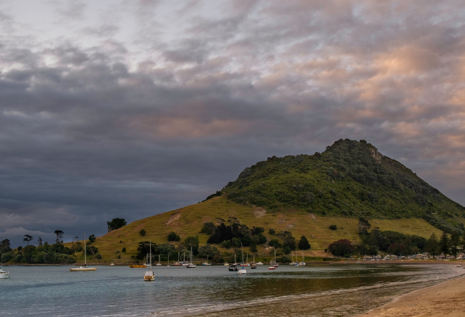 Ngāti Ranginui Lead with Mana and Care in Mauao Recovery