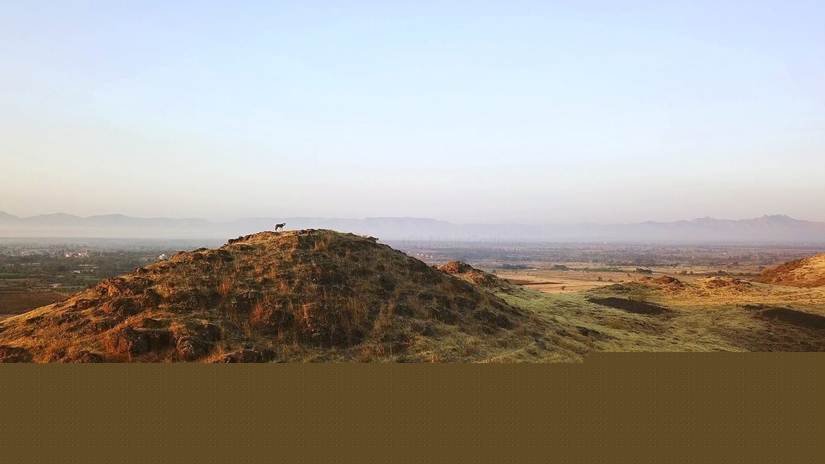 ‘Wastelands’ No More: India Charts a Future for Its Grasslands