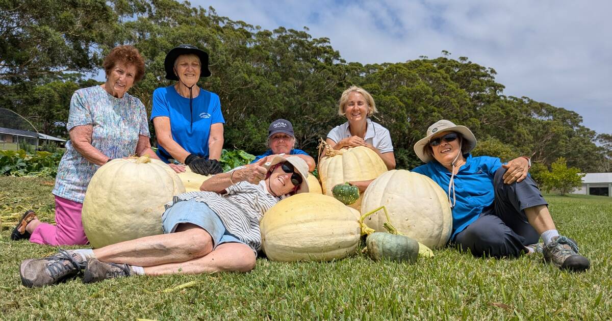 Seeds of connection: how giant pumpkins are fuelling healthy ageing in Anna Bay