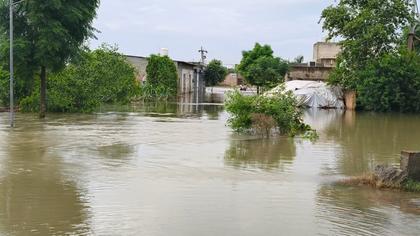 Heavy Rains Keep Punjab Rivers in Spate; Schools Closed Across Districts
