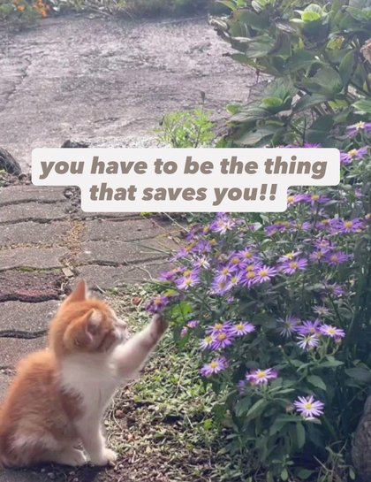 Wholesome Memes - reminder that you don’t have to be hard on yourself to be strong :") | /r/wholesomememes