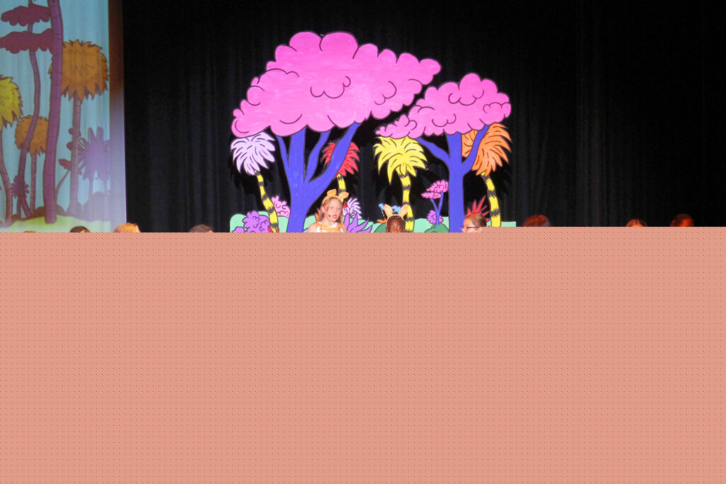 Olean schools STAR Program performance of ‘Seussical Jr.’ is Friday