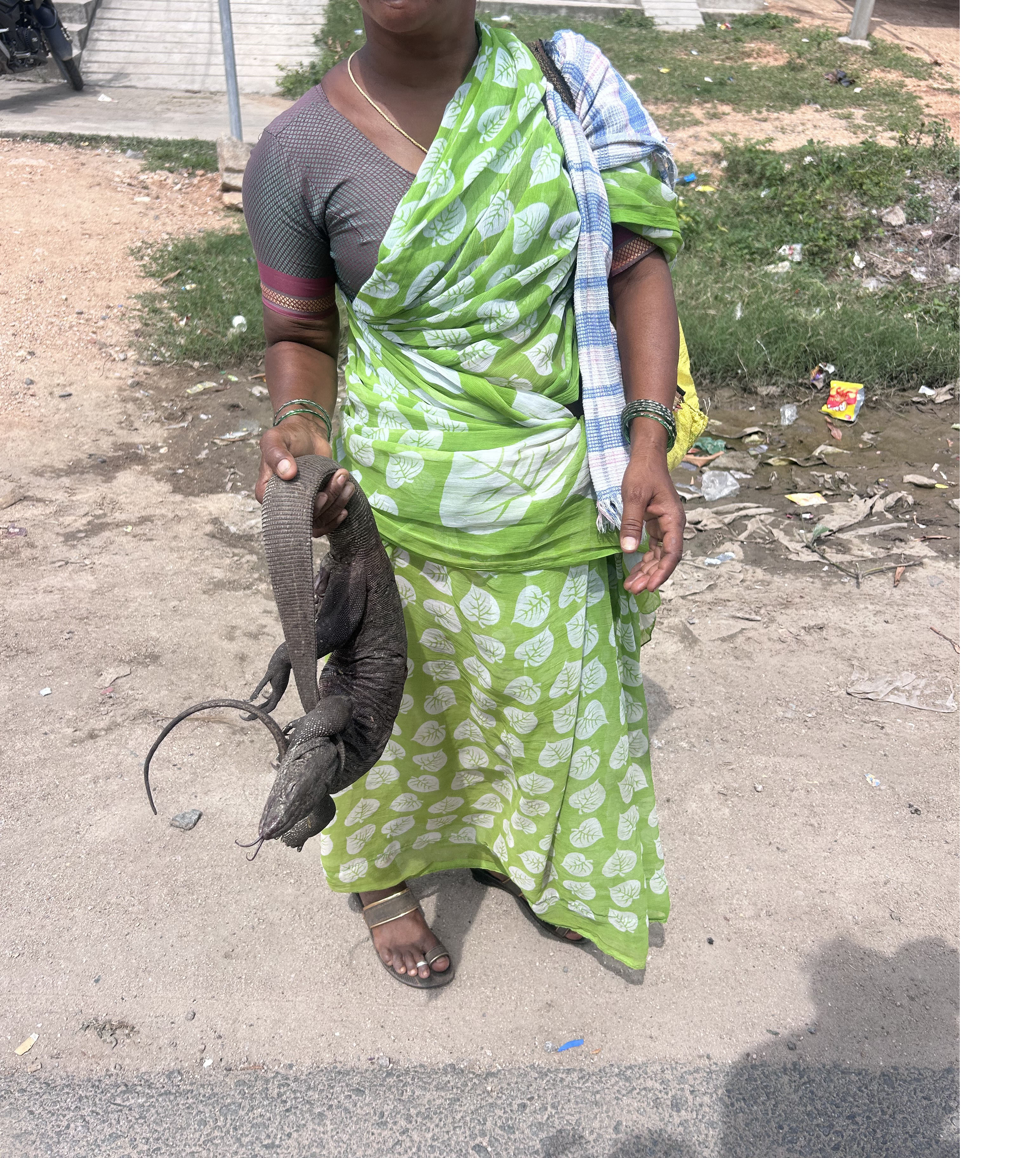 Illegal Hunting, Sale Of Protected Wildlife Rampant In Nalgonda