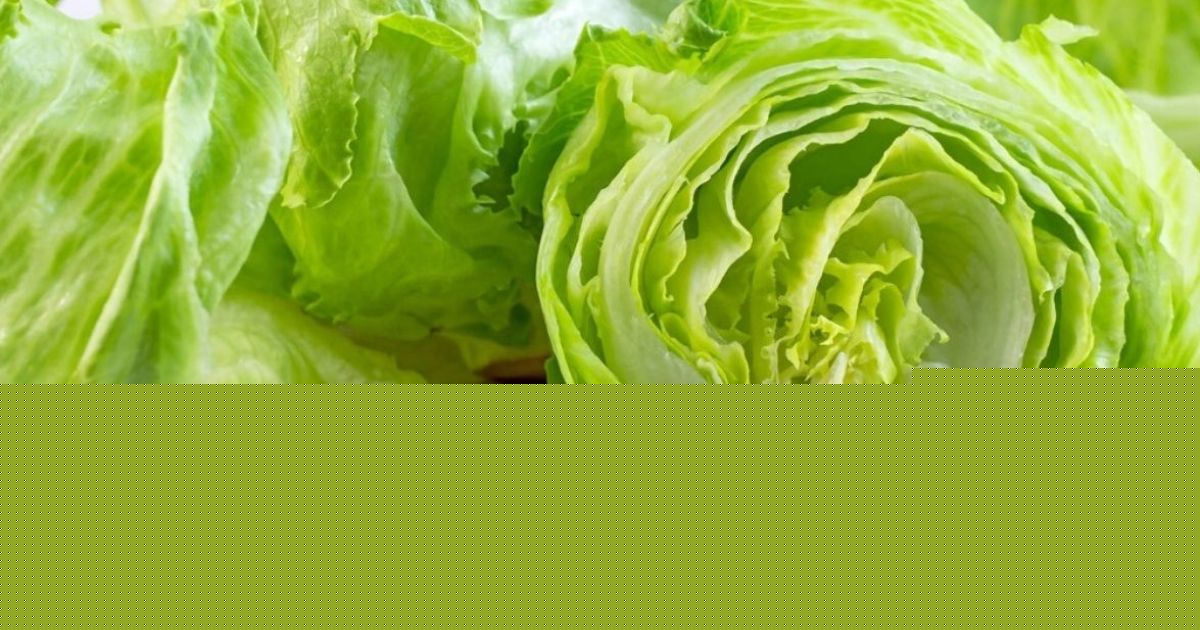 Should You Eat This Lettuce?