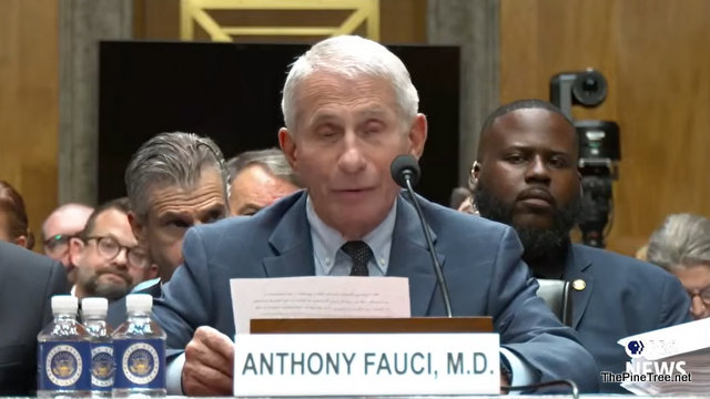 Fauci Invokes 5th Amendment in GOP-led Hearing about COVID-19 Origins