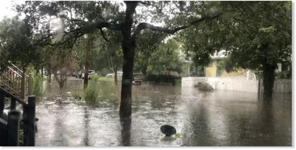 Record rain causes flash flooding in Charleston, South Carolina