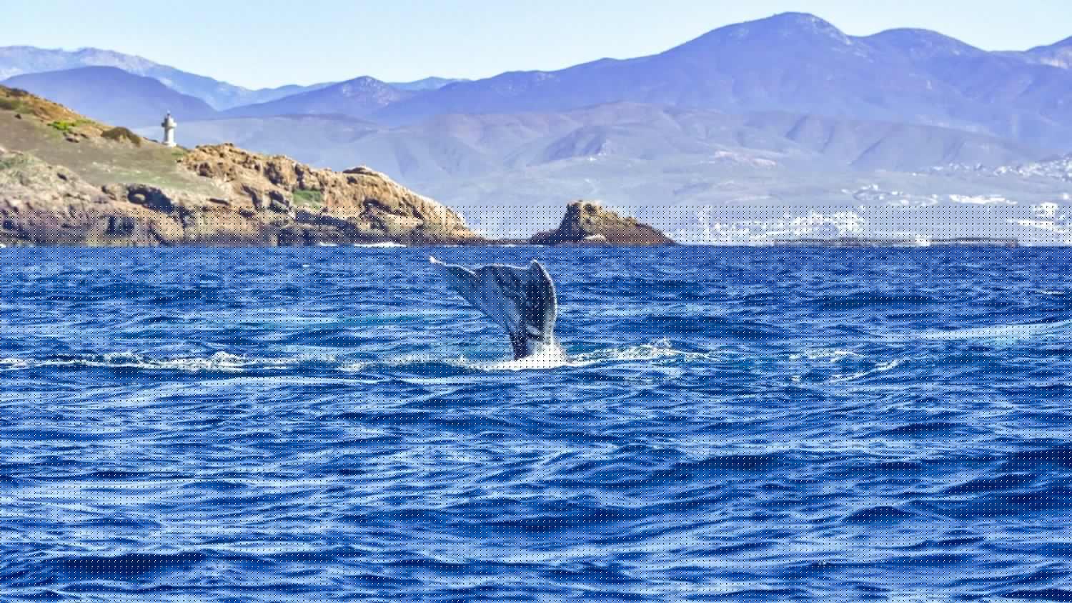 Ensenada impulsa el turismo científico con experiencias únicas en Baja California