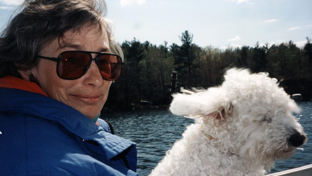 Unpacking the meaning behind Mary Oliver's "Wild Geese"