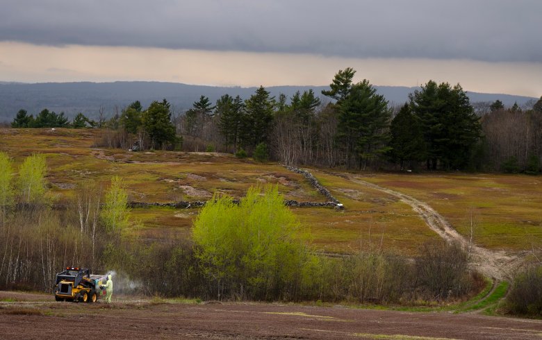 Maine’s lowbush blueberries deserve high praise | Letter