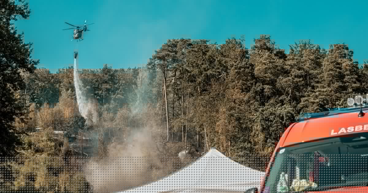 Alarmstufe drei - 19 Feuerwehren kämpfen gegen einen Waldbrand