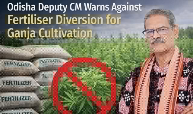 Odisha Deputy CM Warns Fertiliser Dealers Over Ganja Cultivation