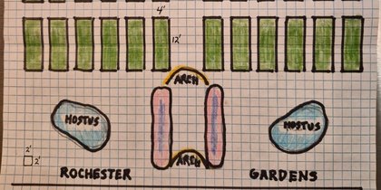 Planting a seed: Growing a community garden