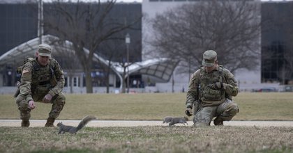 Here’s How Much Trump’s Troop Deployments Have Cost Taxpayers