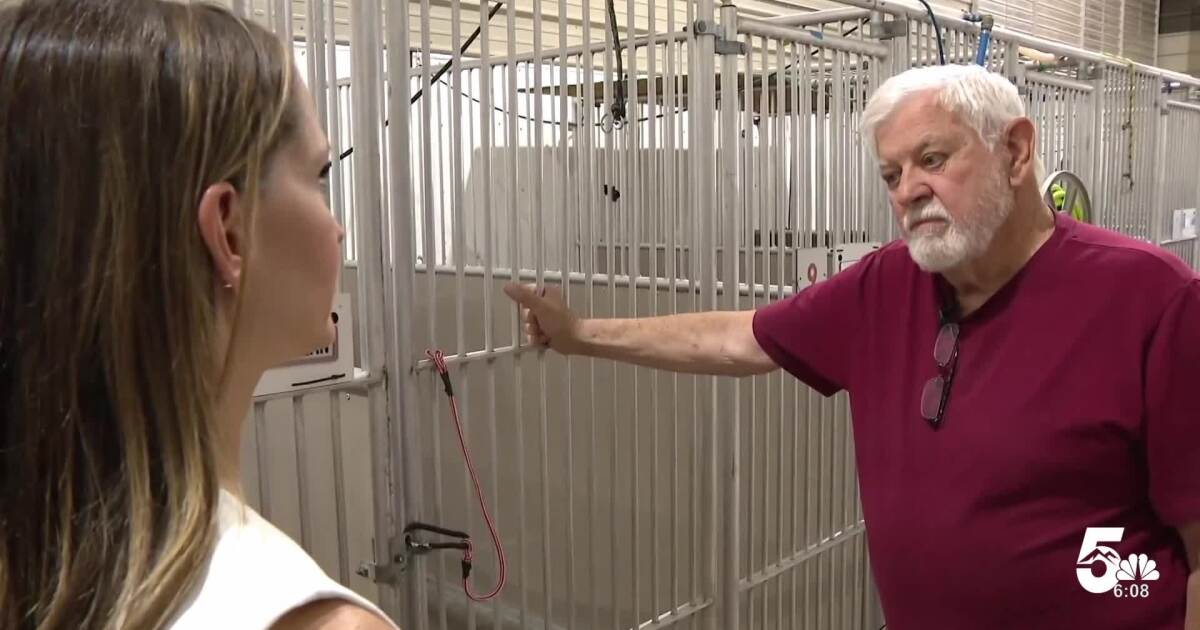 Boardmoor Pet Resort owner pleads guilty to animal cruelty charge, faces two additional misdemeanor summonses